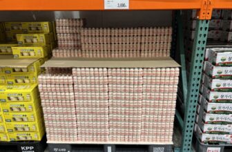 코스트코-에포카-요구르트-가격-정리_502305