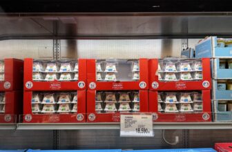 소이뇽-산양치즈-스프레더블-코스트코-할인-가격-정리_662777