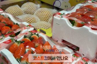 코스트코-딸기-1kg-가격-시세-정리_574199