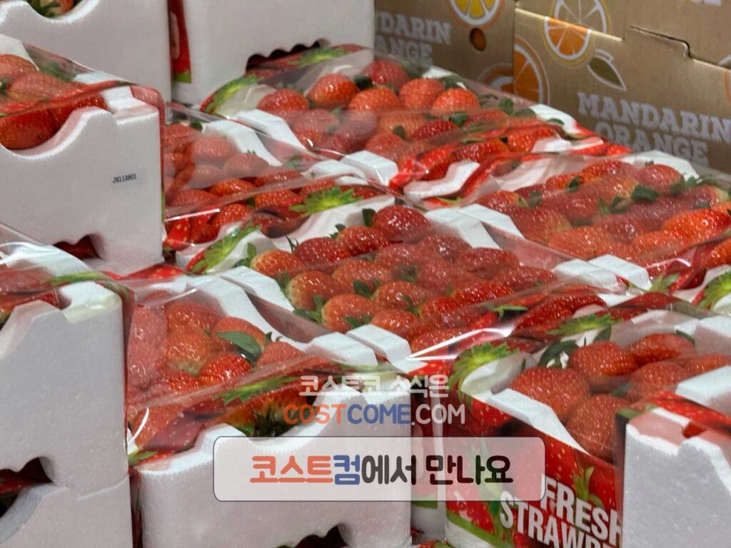 코스트코 딸기 1kg 기본 정보 정리