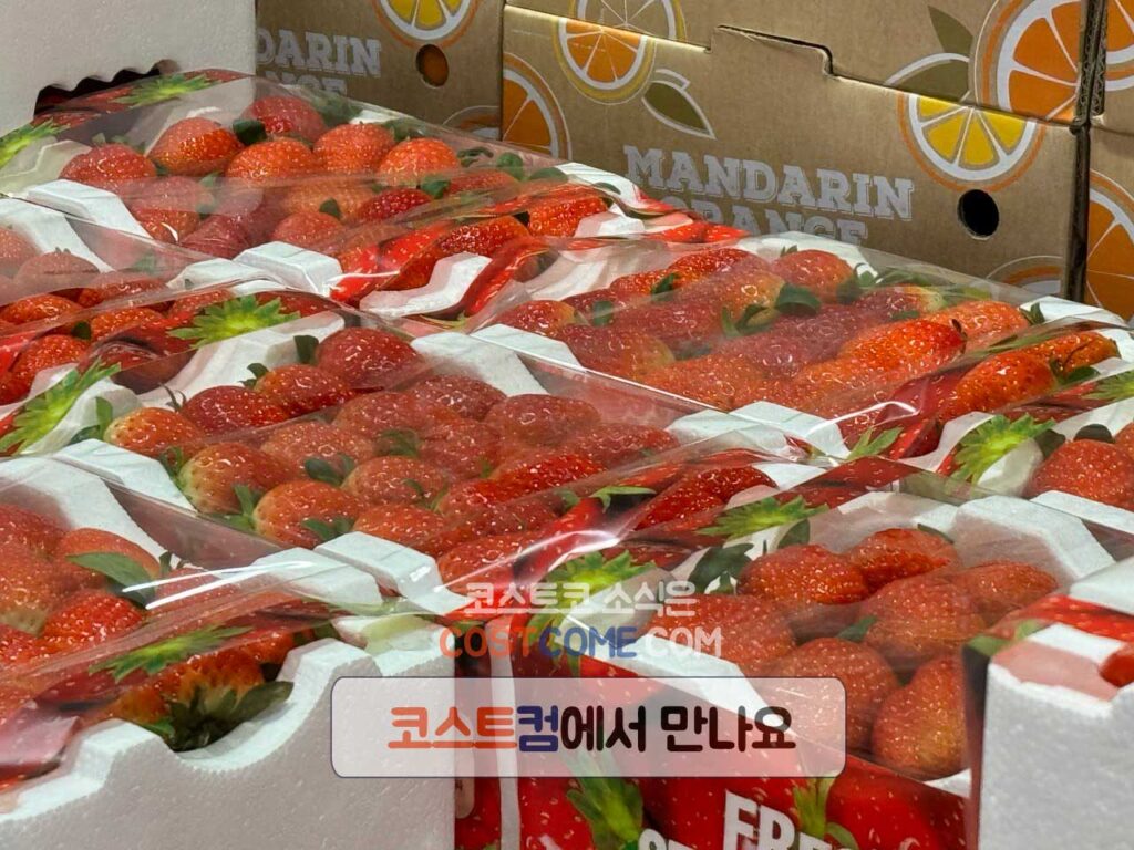 코스트코 딸기 1kg 특징