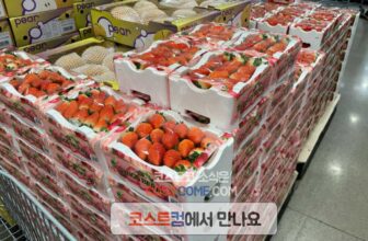 코스트코-킹스베리-딸기-1kg-가격-시세-정리_650849