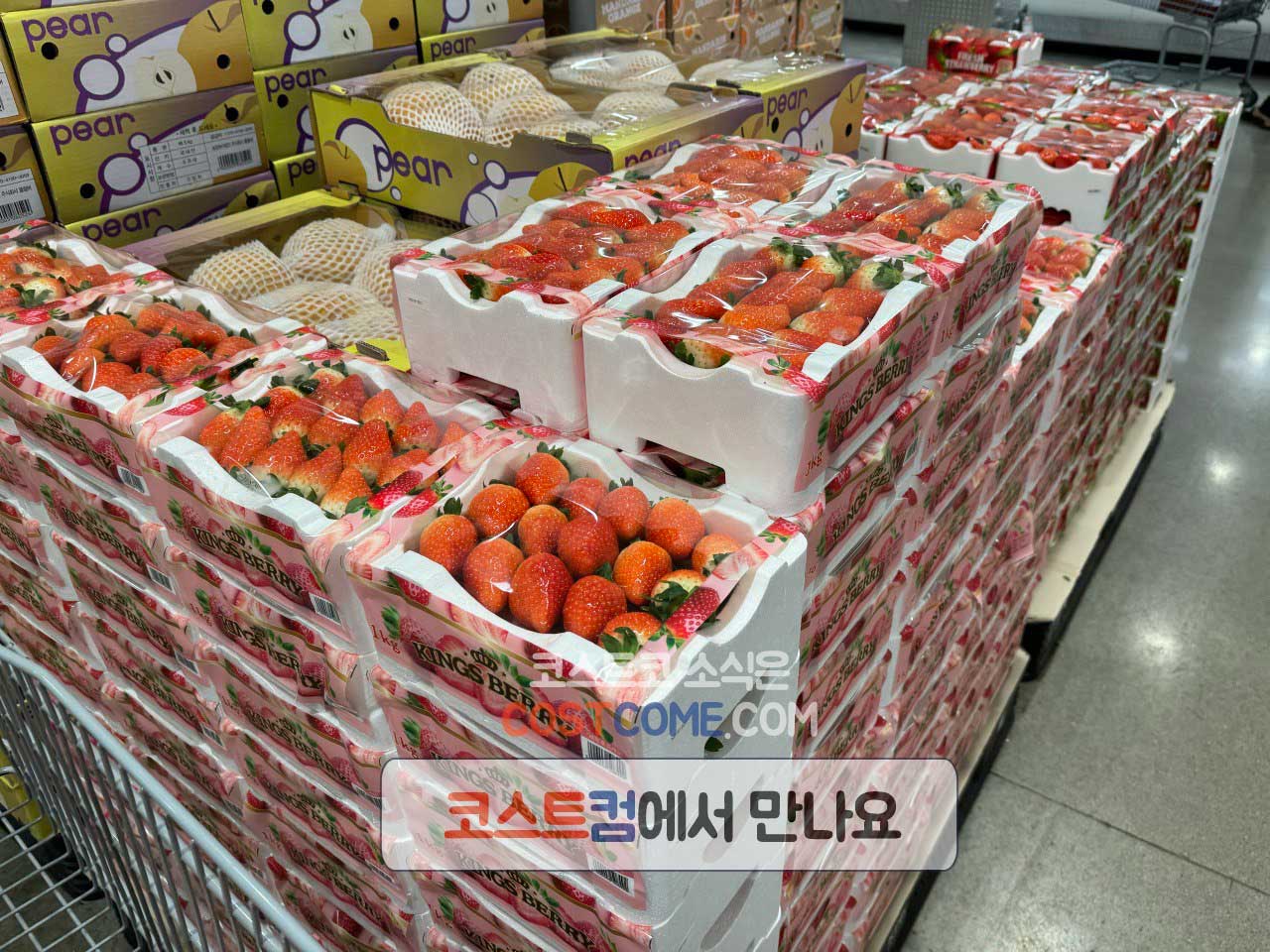 코스트코-킹스베리-딸기-1kg-가격-시세-정리_650849