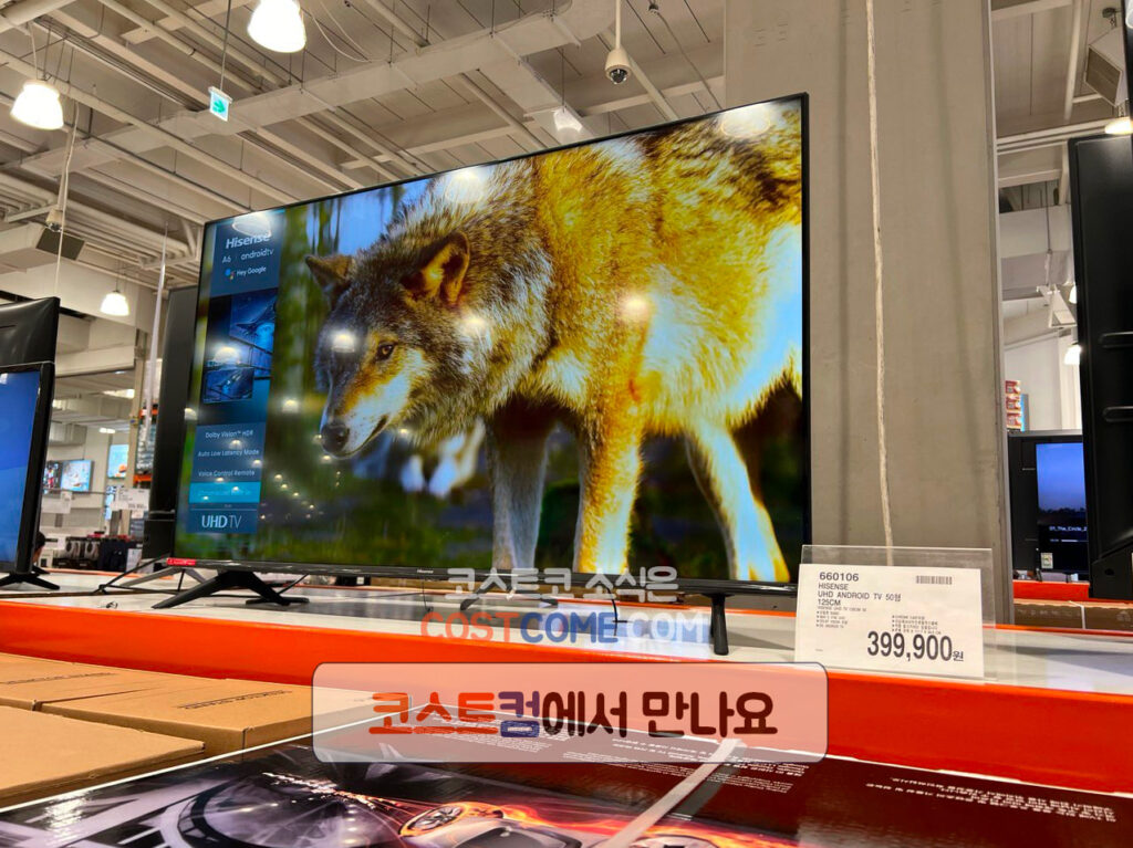 코스트코 하이센스 HISENSE TV 50인치 50A6G 특징 정리