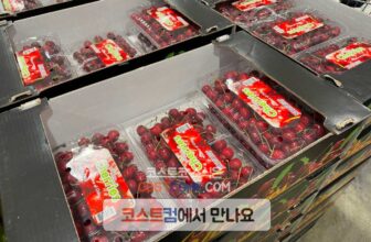 코스트코-체리-칠레산-907g-할인-가격-정리_2534