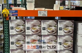 미카사-MIKASA-그릇-세트-20P-코스트코-할인-가격과-특징-정리_1606711