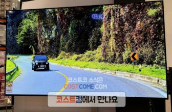 LG 55인치 OLED TV OLED55A3KNA 코스트코 엘지 티비 할인 가격_669846