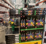 레고 야생화 꽃다발 10313 코스트코 가격 정리