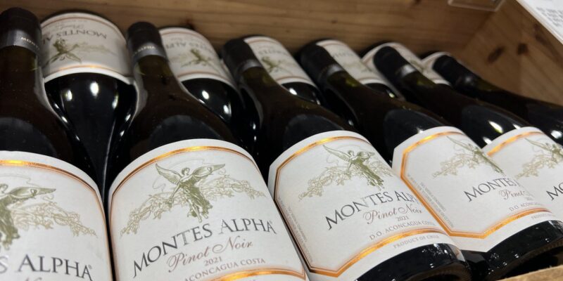 몬테스 알파 피노누아 2021 코스트코 와인 할인 가격 정리