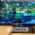 삼성 QLED TV 65인치 KQ65QC65AFXKR 코스트코 티비 할인 가격 정리