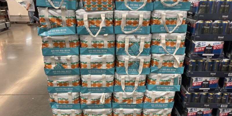 제주맥주 위트에일 쿨러백 코스트코 가격과 도수 정리