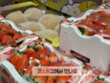 코스트코 딸기 1kg 가격 시세 정리