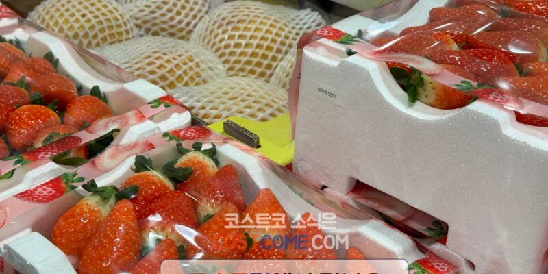 코스트코 딸기 1kg 가격 시세 정리