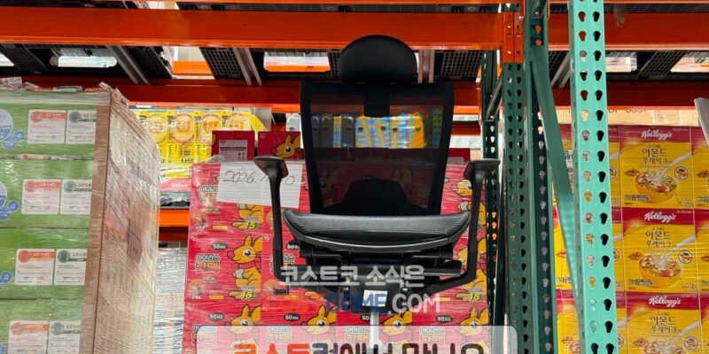 코스트코 시디즈 T50 에어 라이트 사무용 및 학생의자 할인 가격 정리