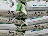 익산농협 청결미 20kg 코스트코 할인 가격 정리