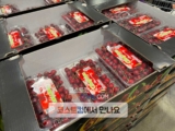 코스트코 체리 칠레산 907g 할인 가격 정리