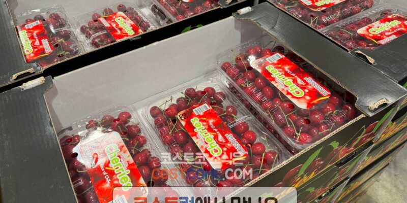코스트코 체리 칠레산 907g 할인 가격 정리