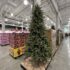 코스트코 크리스마스 트리 2.2M 가격 정리 (LED 전구 포함)