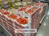코스트코 킹스베리 딸기 1kg 가격 시세 정리