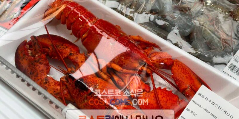 코스트코 해동 자숙 랍스터 캐나다산 할인 가격 정리