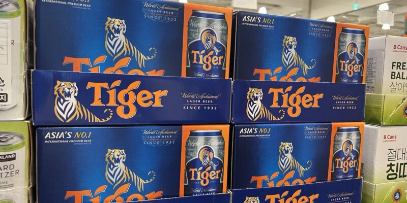 타이거 캔 맥주 코스트코 가격과 원산지 정리