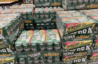 테라 캔맥주 코스트코 가격과 용량 정리 (463ml)