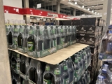 테라 피쳐 맥주 1.6L 코스트코 가격 정리